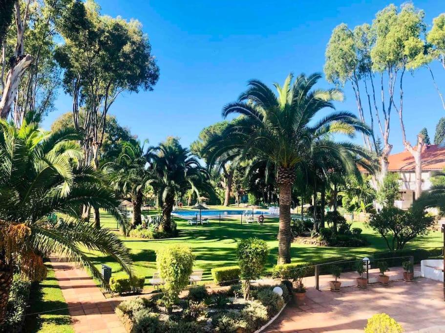 Puerto Banus Eddie Suite Marbella Eksteriør billede