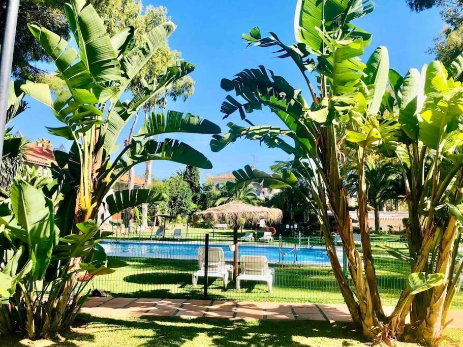 Puerto Banus Eddie Suite Marbella Eksteriør billede
